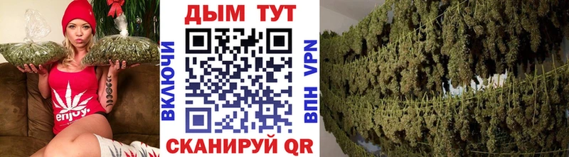 МАРИХУАНА SATIVA & INDICA  МЕГА как войти  Бикин 